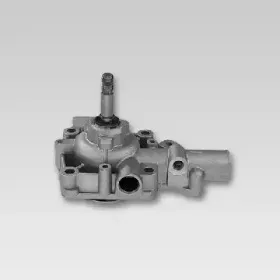 hepu-p1163