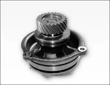 hepu-p1179