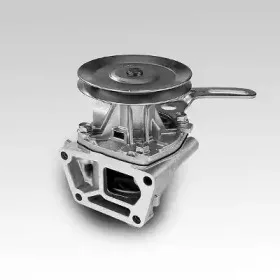 hepu-p121