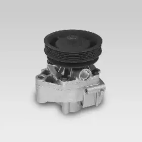 hepu-p123
