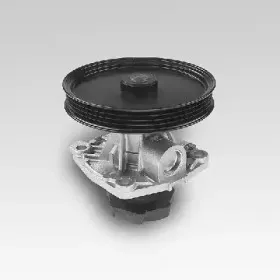 hepu-p125