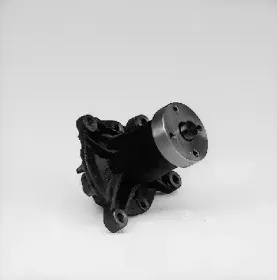 hepu-p157