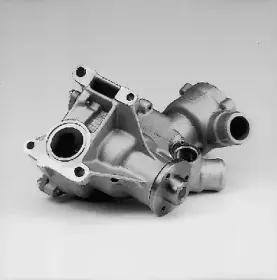 hepu-p164