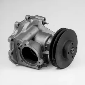 hepu-p179