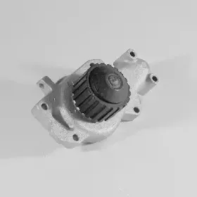 hepu-p203