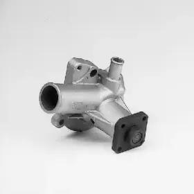 P206 HEPU
