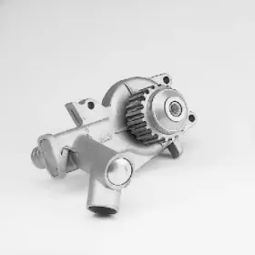 hepu-p207