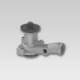 hepu-p213