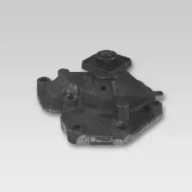 hepu-p214