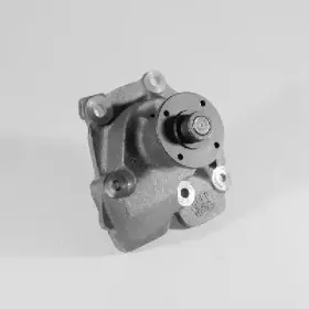 hepu-p219