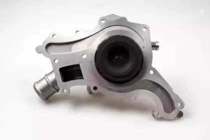 hepu-p223