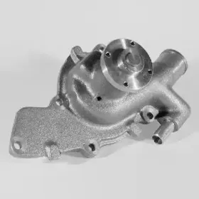 hepu-p238