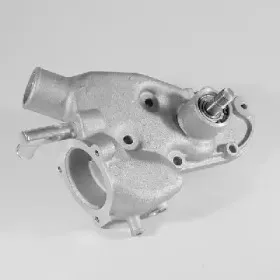 hepu-p241