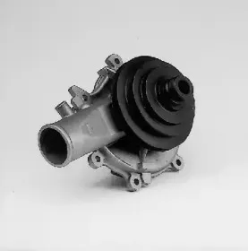 P311 HEPU