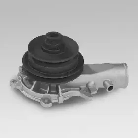 hepu-p319