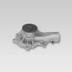 P33536 HEPU