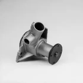 hepu-p456