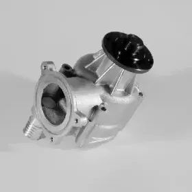 hepu-p499