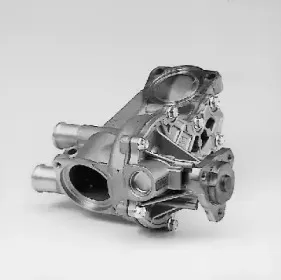 hepu-p516