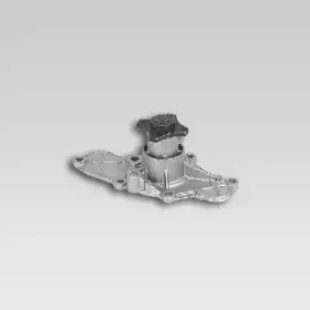 hepu-p7123
