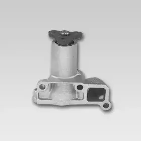 hepu-p718