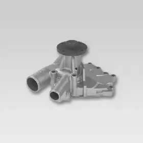 hepu-p736