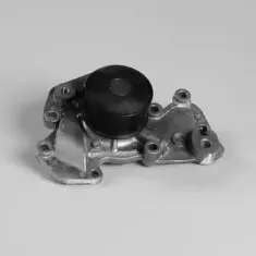 P7768 HEPU