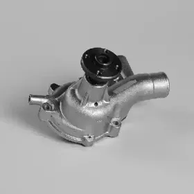 hepu-p7781