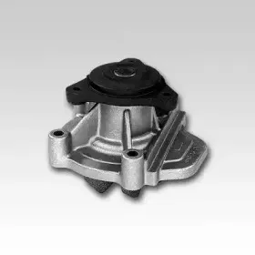 hepu-p781