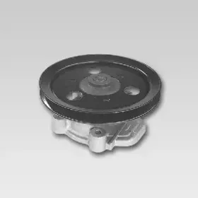 hepu-p787