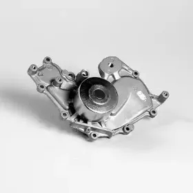 hepu-p789