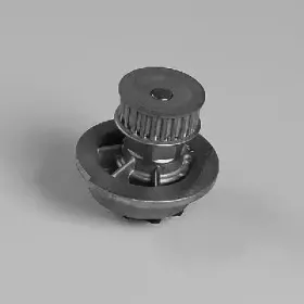 hepu-p794