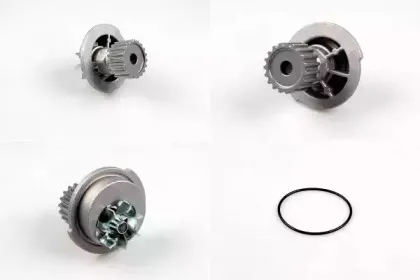 P795 HEPU Водяной насос