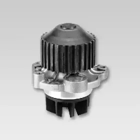 P802 HEPU Водяной насос