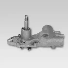 hepu-p883