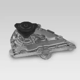 hepu-p928