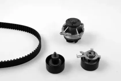 PK02361 HEPU