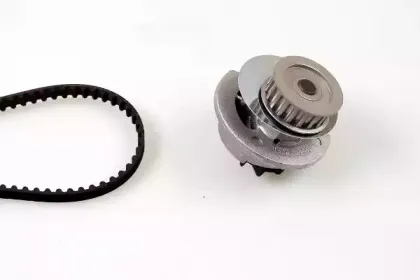 hepu-pk03881