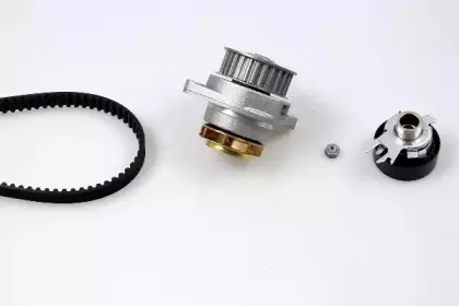 PK05402 HEPU