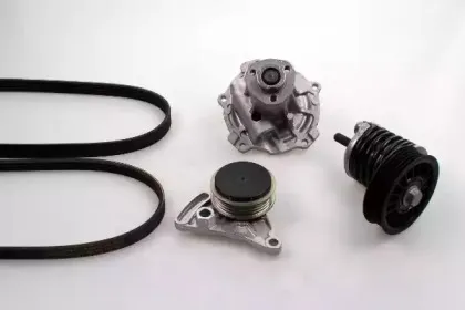 PK05423 HEPU