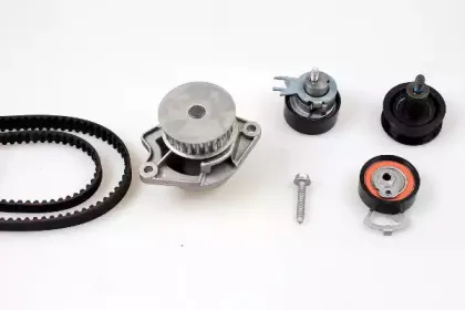 PK05572 HEPU