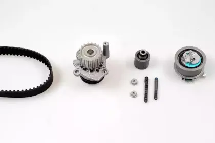 PK05690 HEPU