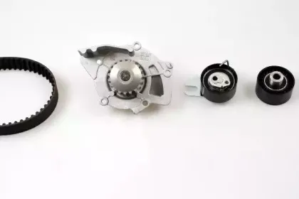 PK08010 HEPU