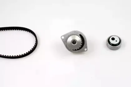 PK08121 HEPU