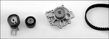 hepu-pk09810