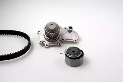 hepu-pk17172