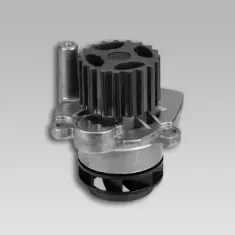gk-980254