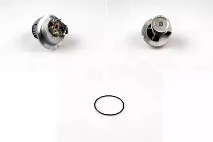 980750 GK Водяной насос