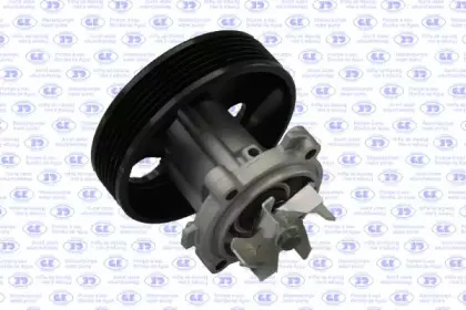 gk-980782