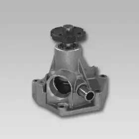gk-981022